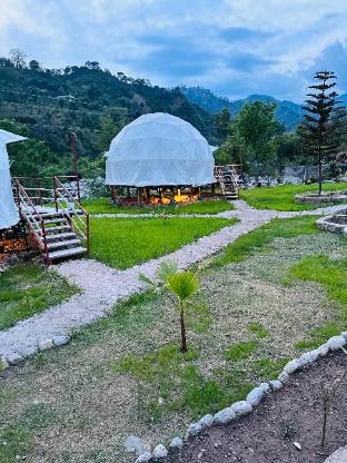 Nestonature Glamping in Dharamsala, India