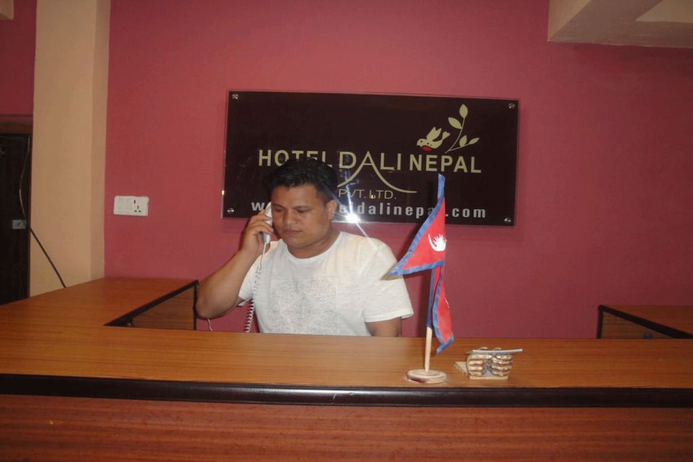 Hotel Dali Nepal — Kathmandu — photo 2