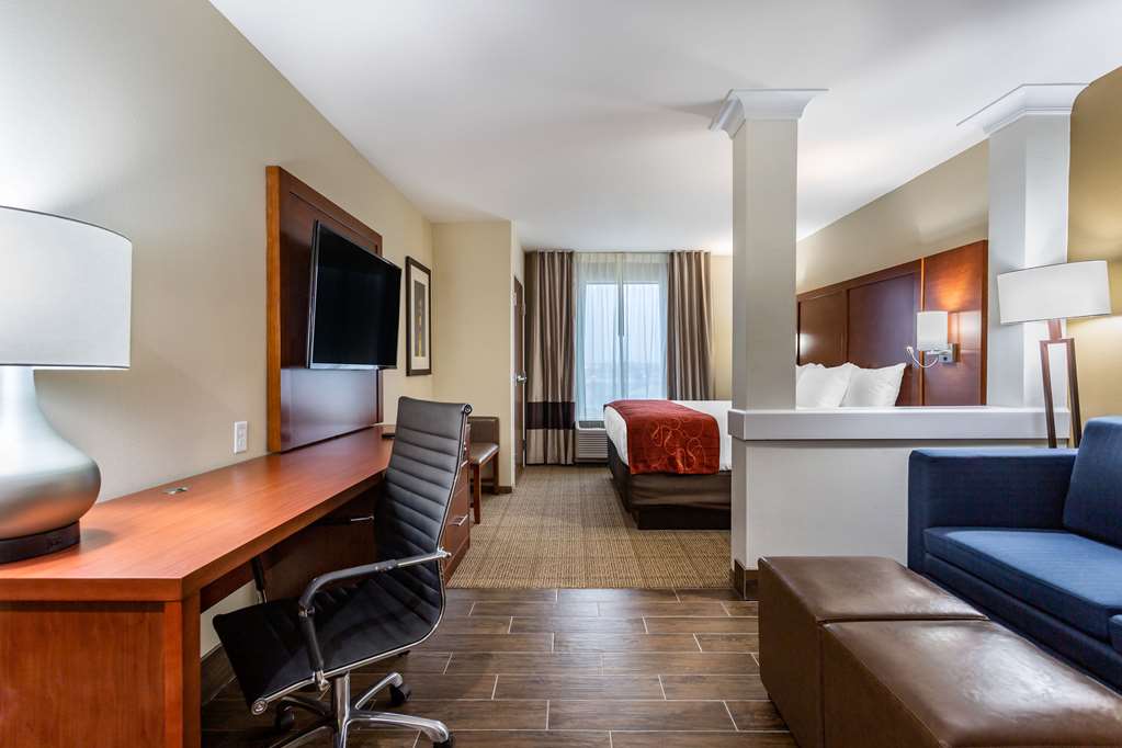 Comfort Suites Bowling Green Southeast - photo 13