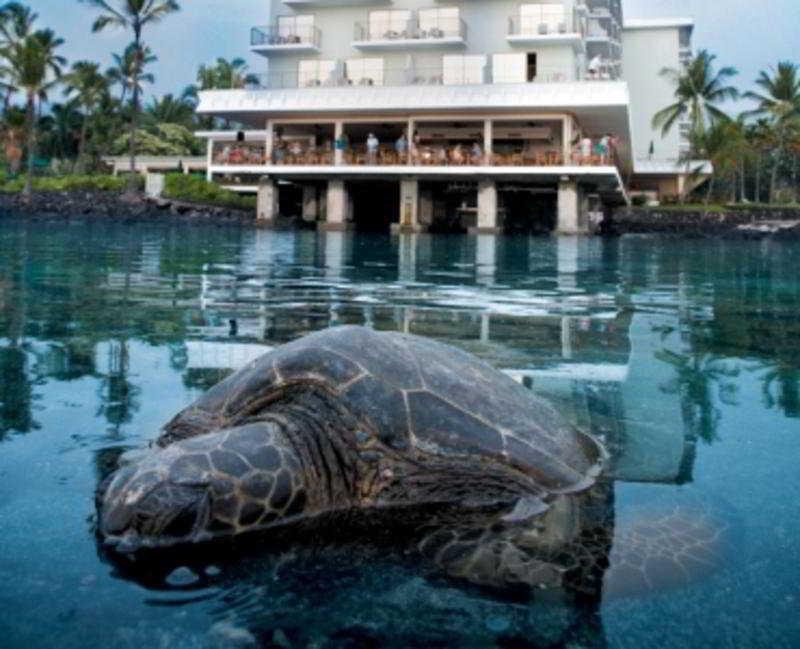 Keauhou Beach Resort - featured photo