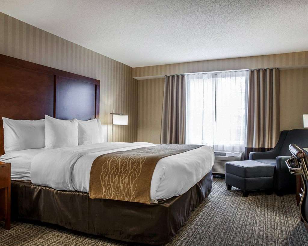Comfort Inn & Suites Sturbridge Brimfield - photo 10