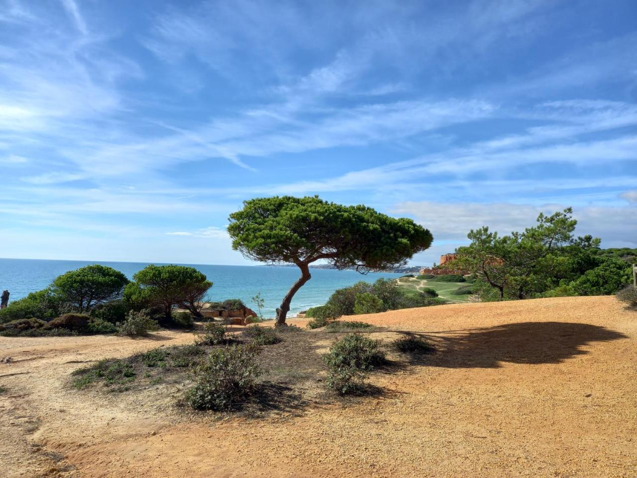Paradise On The Beach — Albufeira — photo 4
