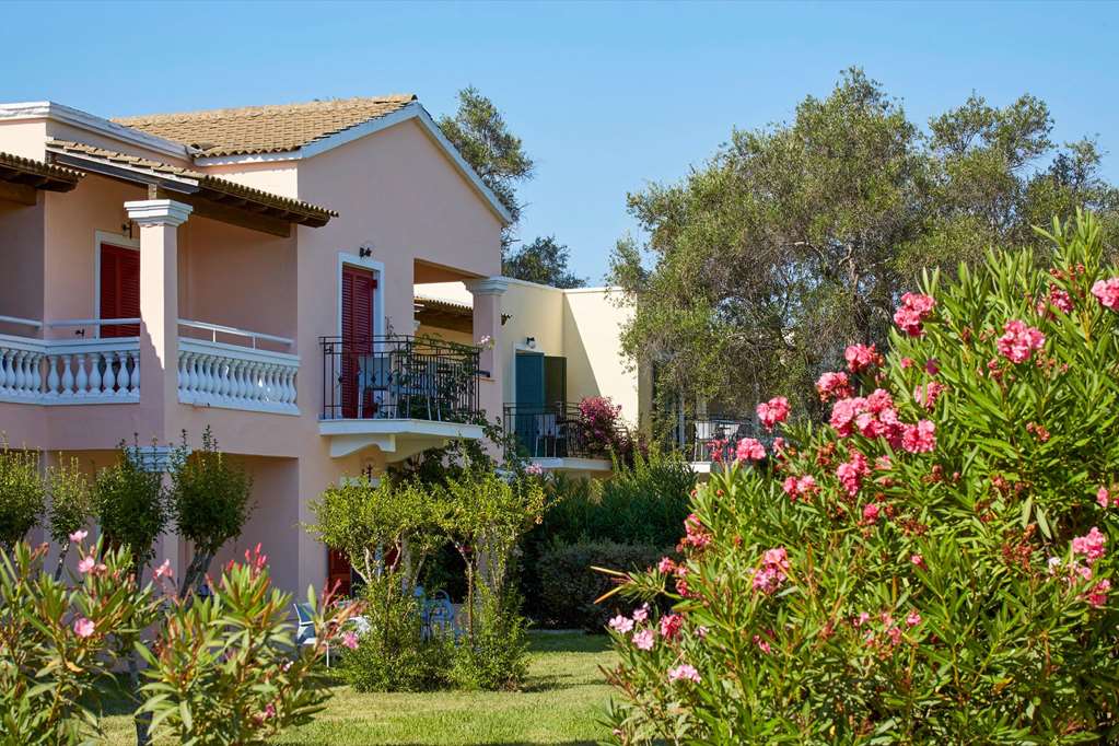 מראה חיצוני