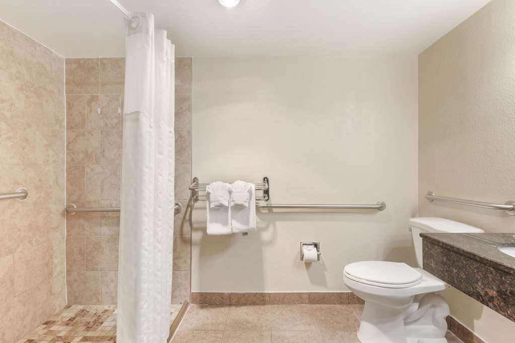Comfort Inn University Center - photo 24