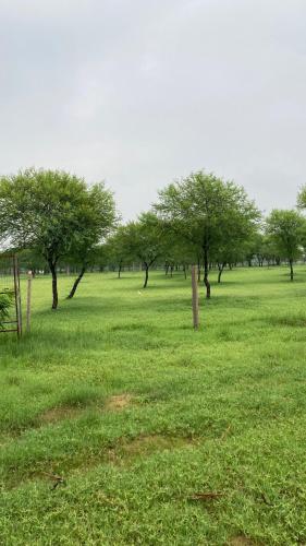 Bhumii Trials — Unknown City — photo 2