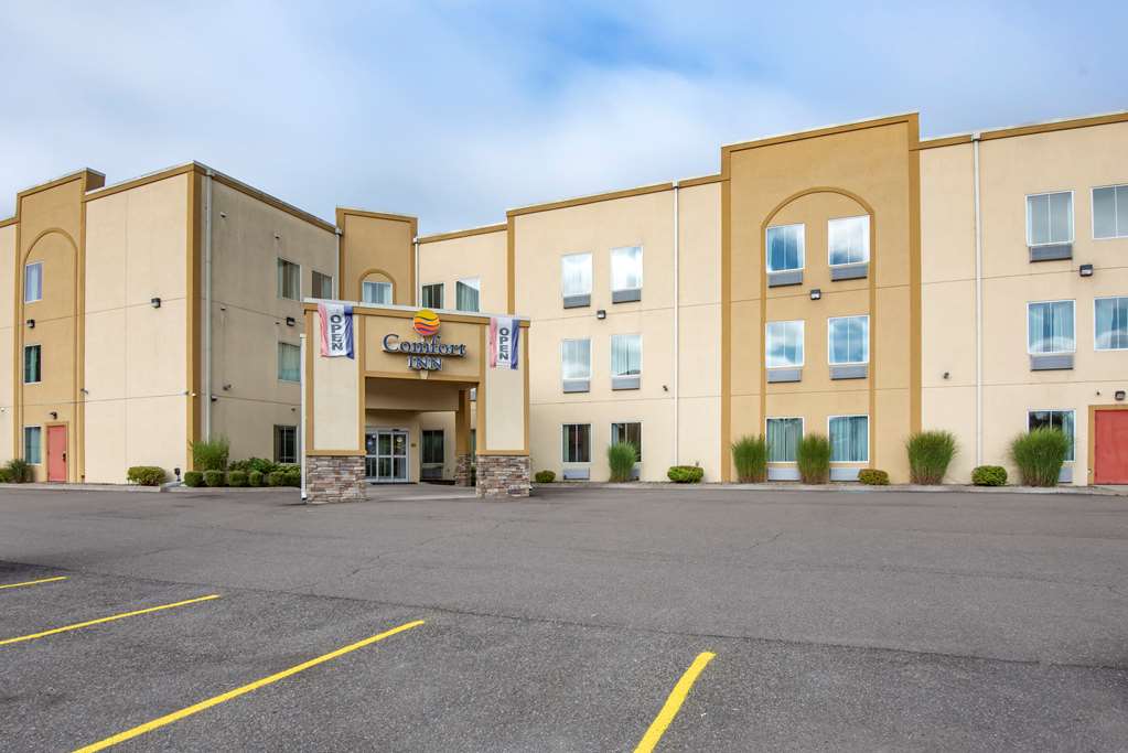 Comfort Inn Apalachin Binghamton W Route 17 - featured photo