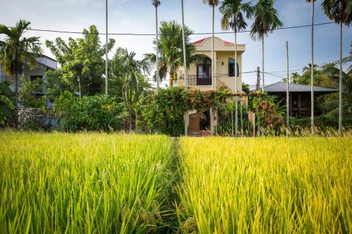La Maison Gạo Hoi An — 4-Star Luxury Hotel in Hoi An, Vietnam