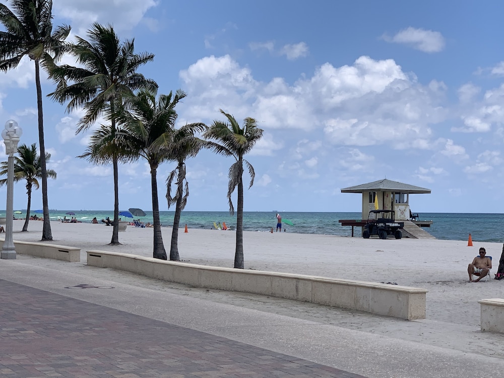 Hollywood Beach Seagull - photo 36