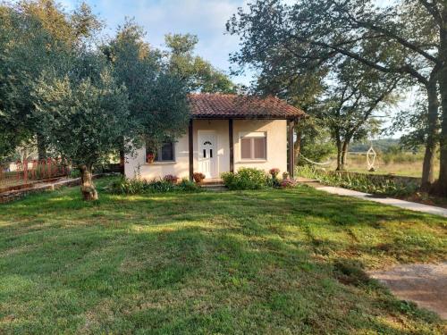Apartment Marijana — 4-Star Luxury Hotel in Umag, Croatia