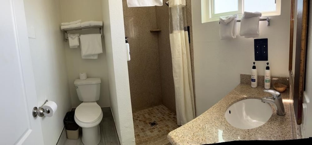 Ocean Palms Motel - photo 20