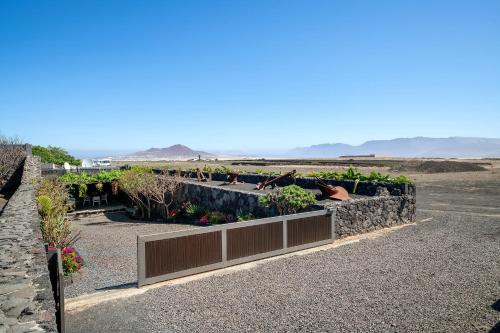 Finca El Refugio — Teguise — photo 2
