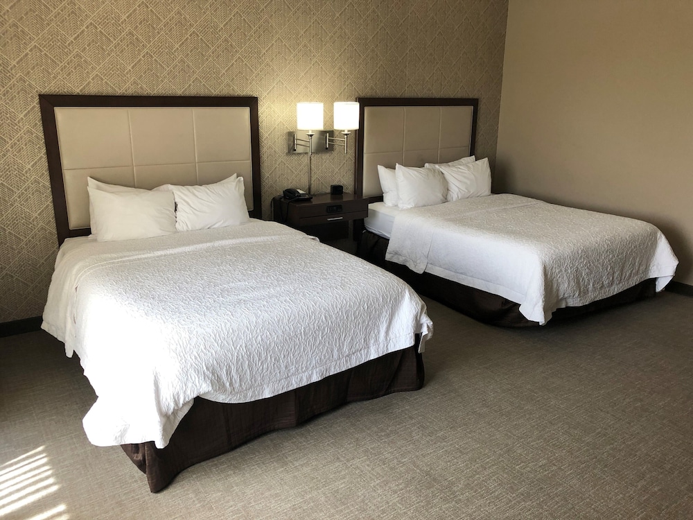 Hampton Inn & Suites Tampa Busch Gardens Area - photo 6