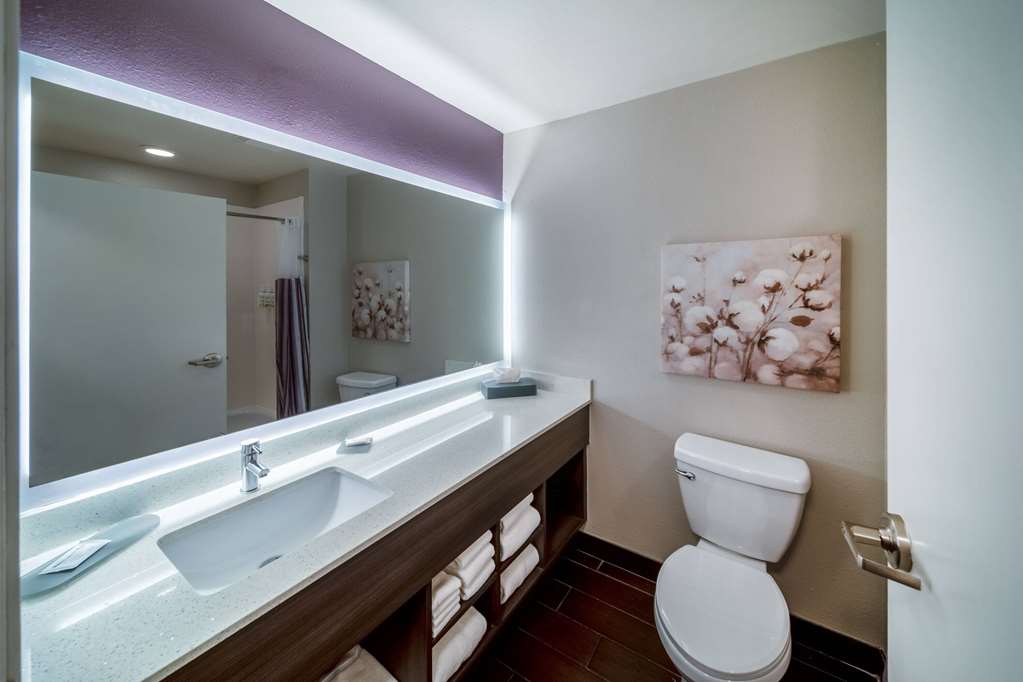 La Quinta Inn & Suites by Wyndham Rockwall - photo 22