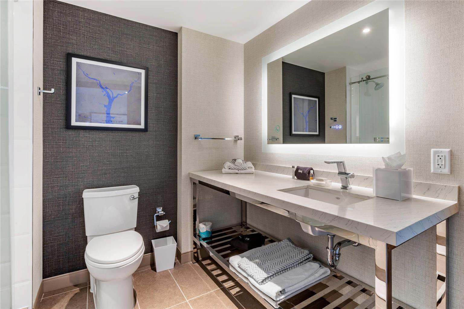 Cambria Hotel Washington D.C. Navy Yard Riverfront - photo 11