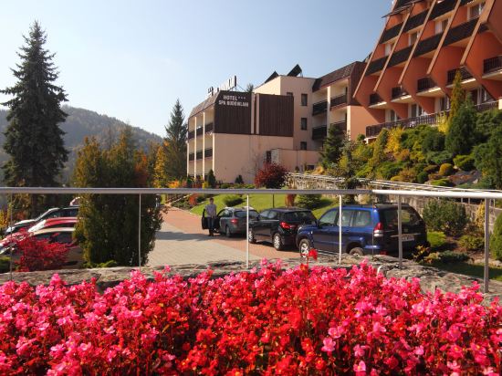 Hotel Spa Budowlani in Szczawnica, Poland