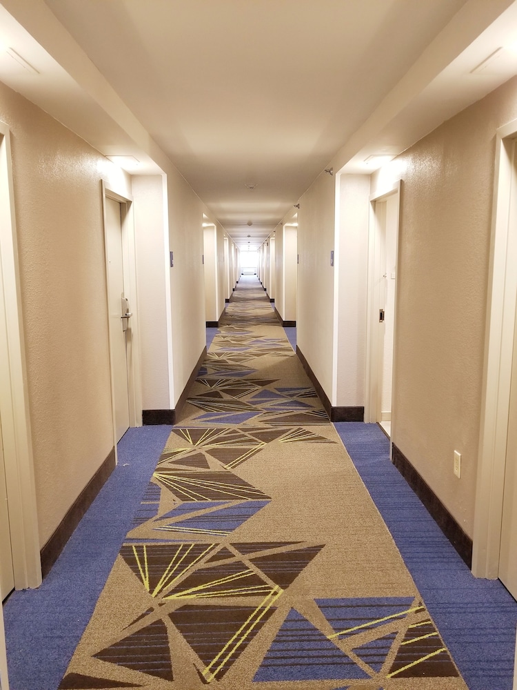Holiday Inn Express & Suites Miami Hialeah by IHG - photo 51