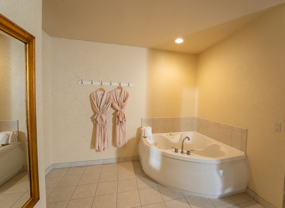 Silverland Inn and Suites - photo 18