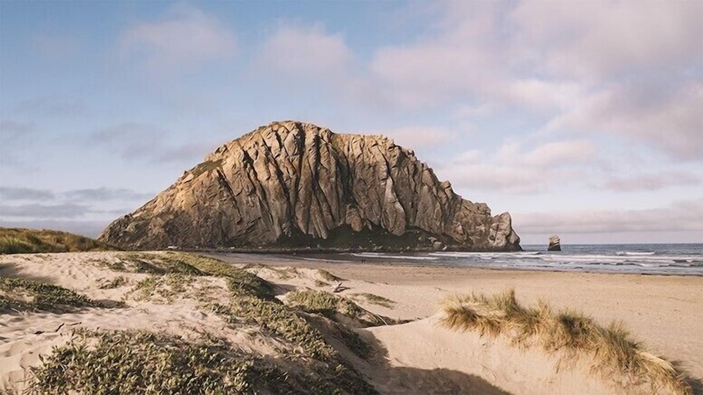 Cayucos Beach Inn - photo 34