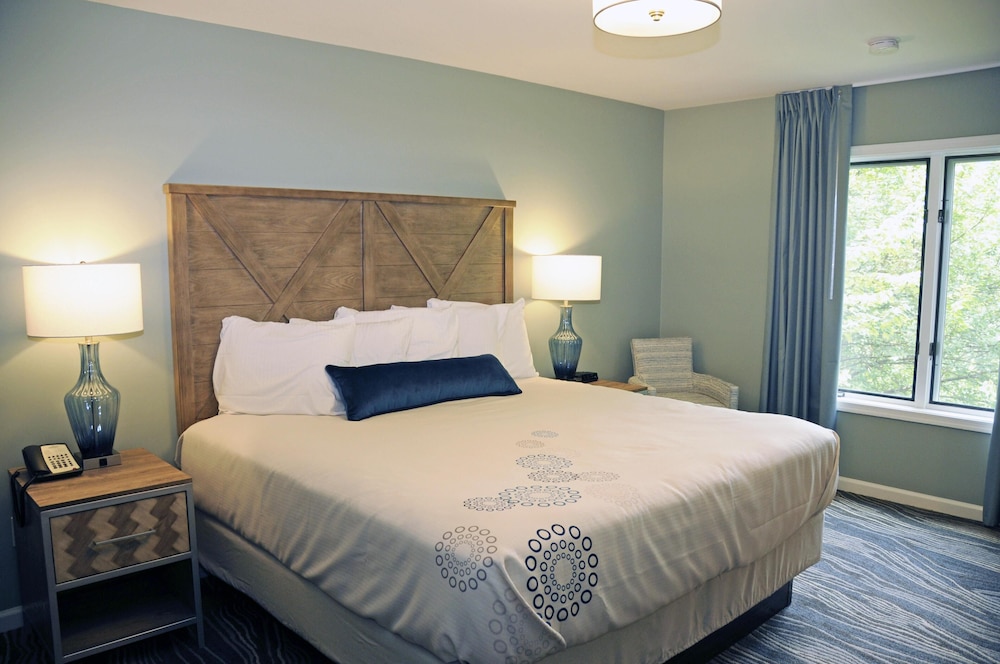The Summit at Massanutten Resort by TripForth - photo 5