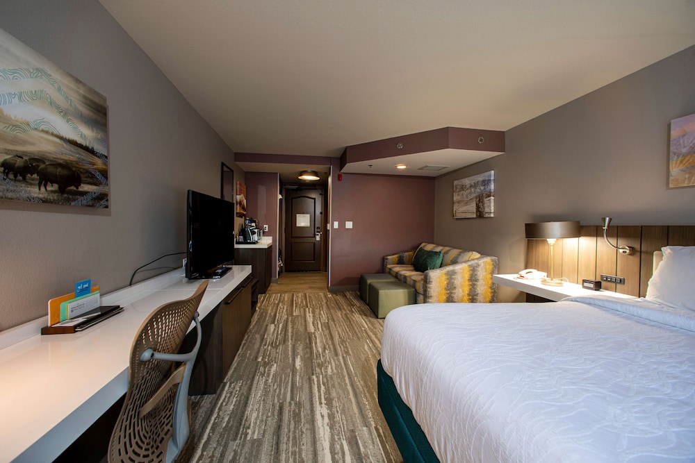 Hilton Garden Inn Rapid City - photo 14