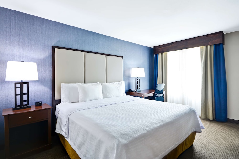 Homewood Suites by Hilton Dallas Lewisville - photo 13