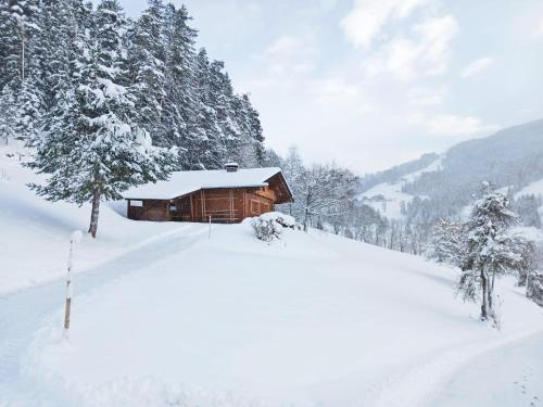 Almliesl Altz 718 in Altenmarkt Im Pongau, Austria