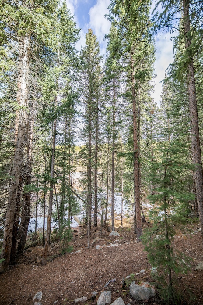 Iron Horse by Stay Winter Park - photo 68