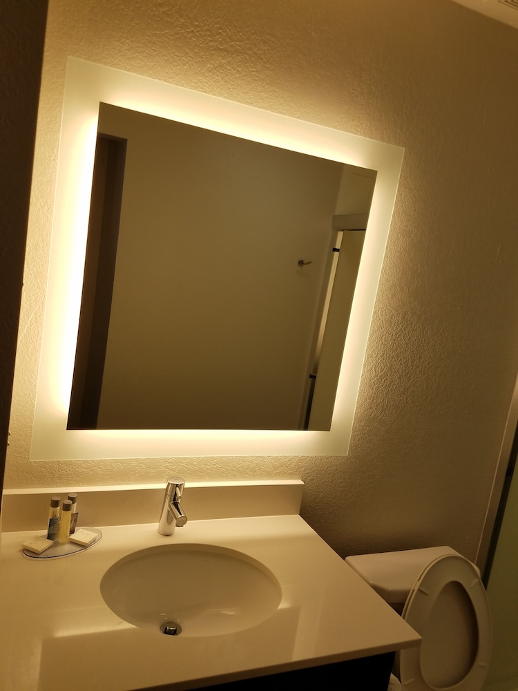 Hotel South Tampa & Suites - photo 21