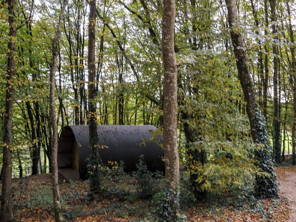 Ballybeg Pod 7