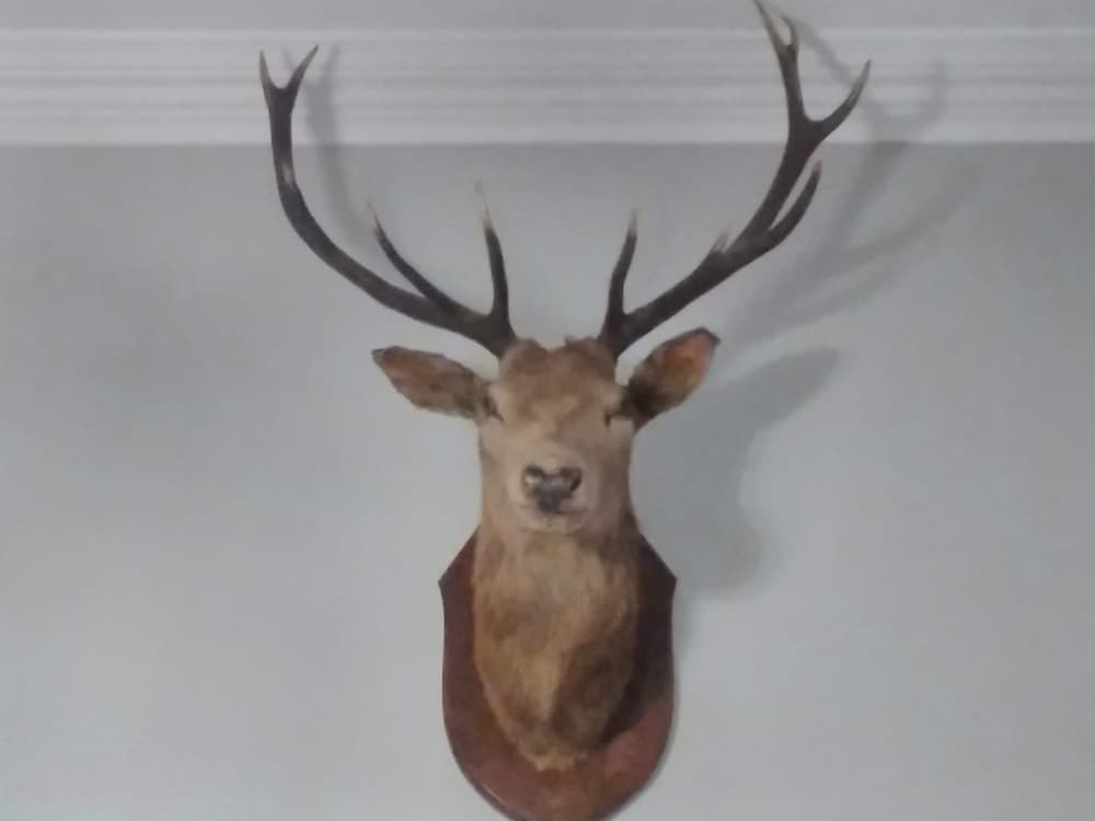 Greenland House B&B — 4-Star Luxury Hotel in Thurso, United Kingdom