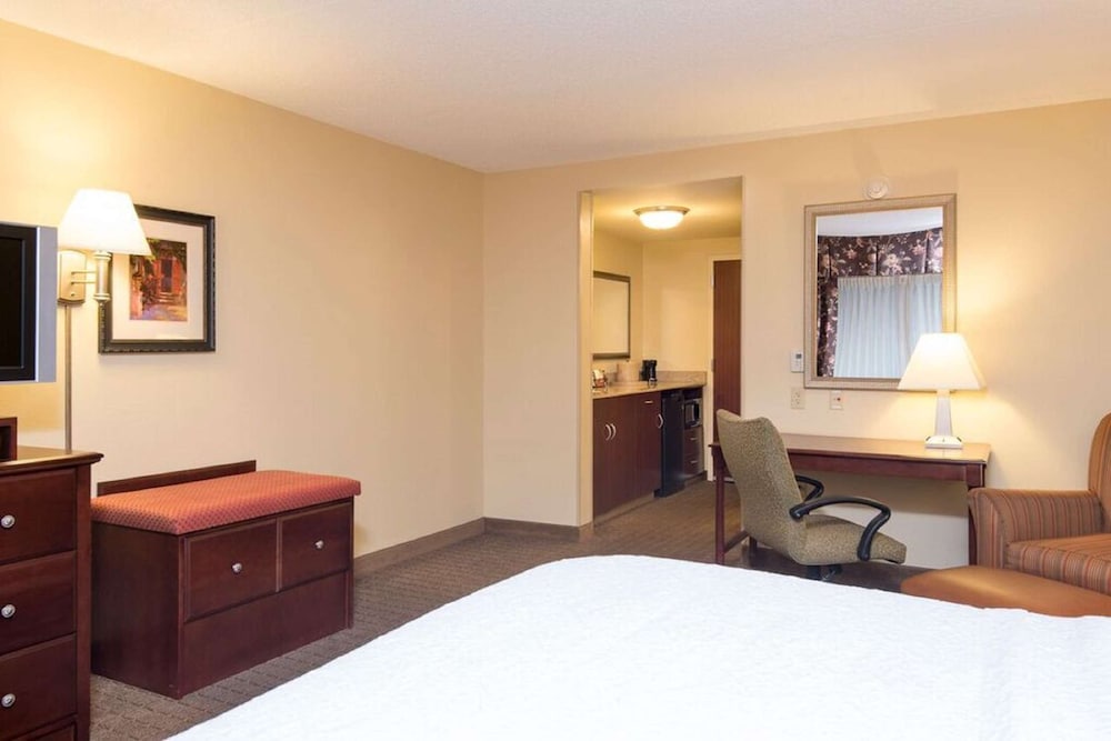 Hampton Inn Schenectady Downtown - photo 11