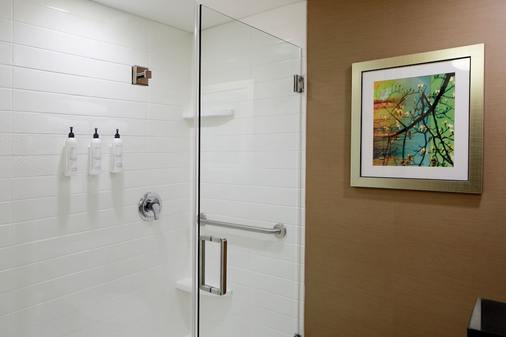 Fairfield Inn & Suites Atlanta Lithia Springs - photo 18