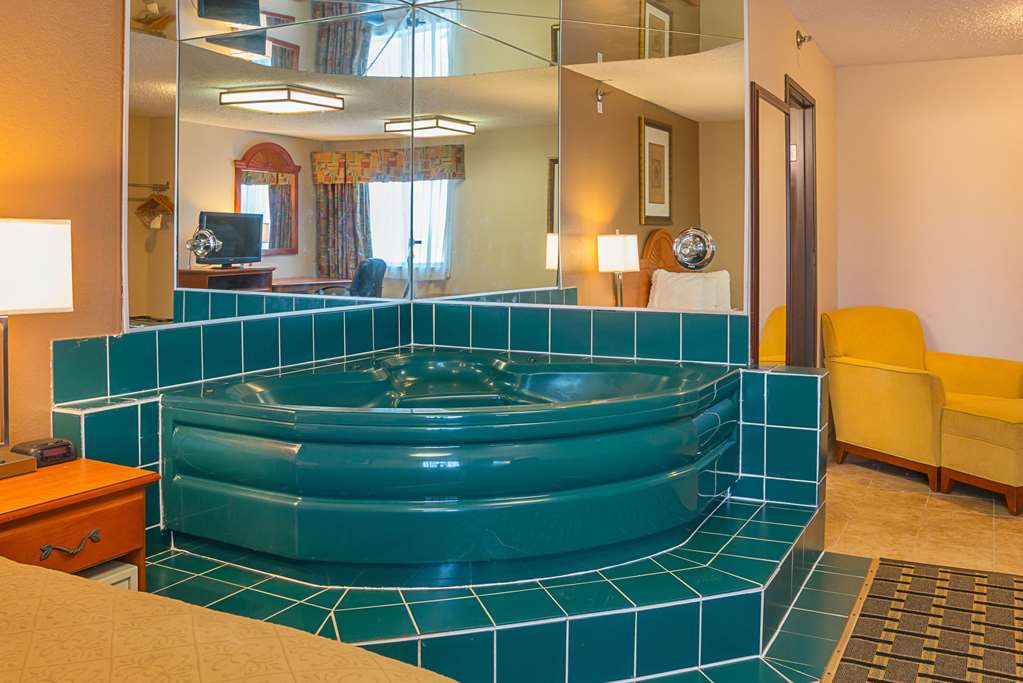 Quality Inn & Suites Detroit Metro Airport - photo 22