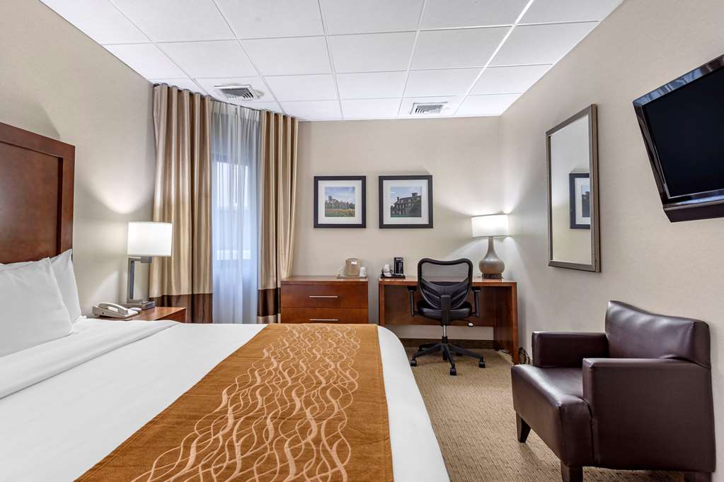 Comfort Inn Syosset Long Island - photo 14