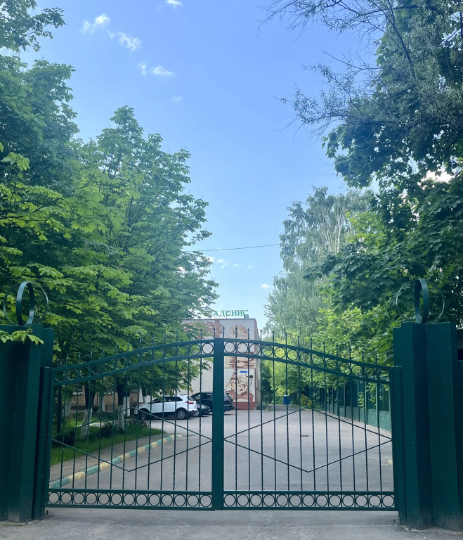 Adonis — Balashikha — photo 4