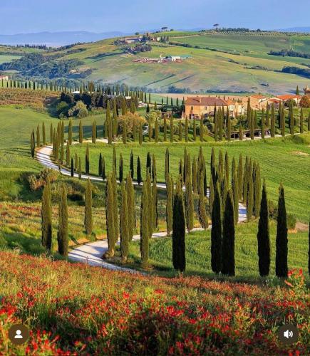 Agriturismo Baccoleno — 4-Star Luxury Hotel in Asciano, Italy