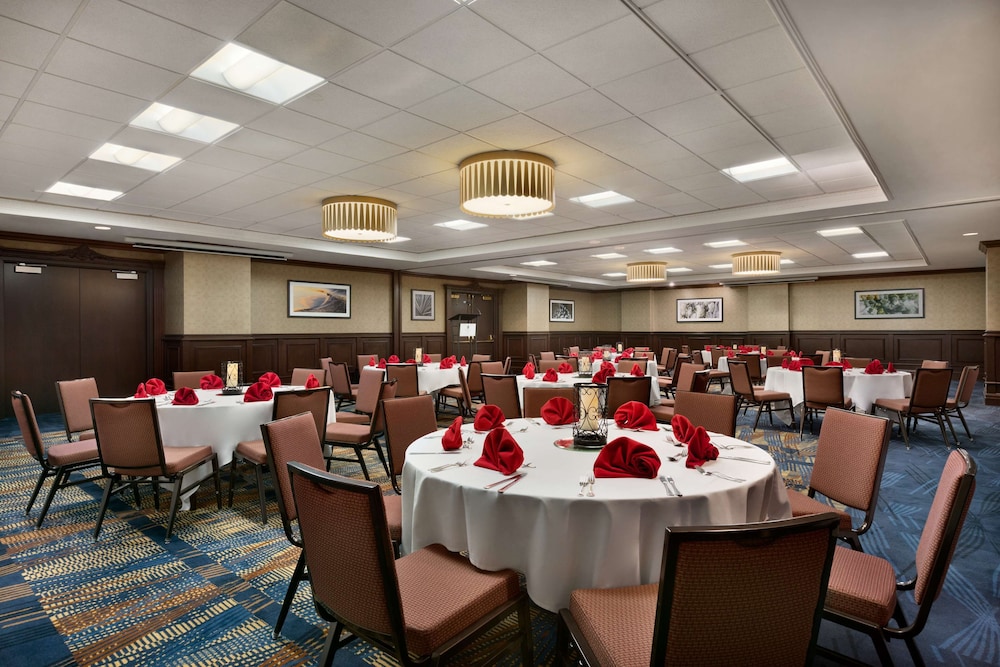 Embassy Suites by Hilton Dallas DFW Airport South - photo 36