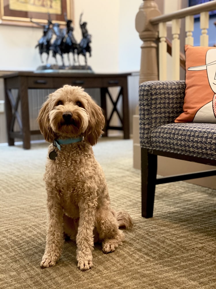 Hotel Arvon - photo 3