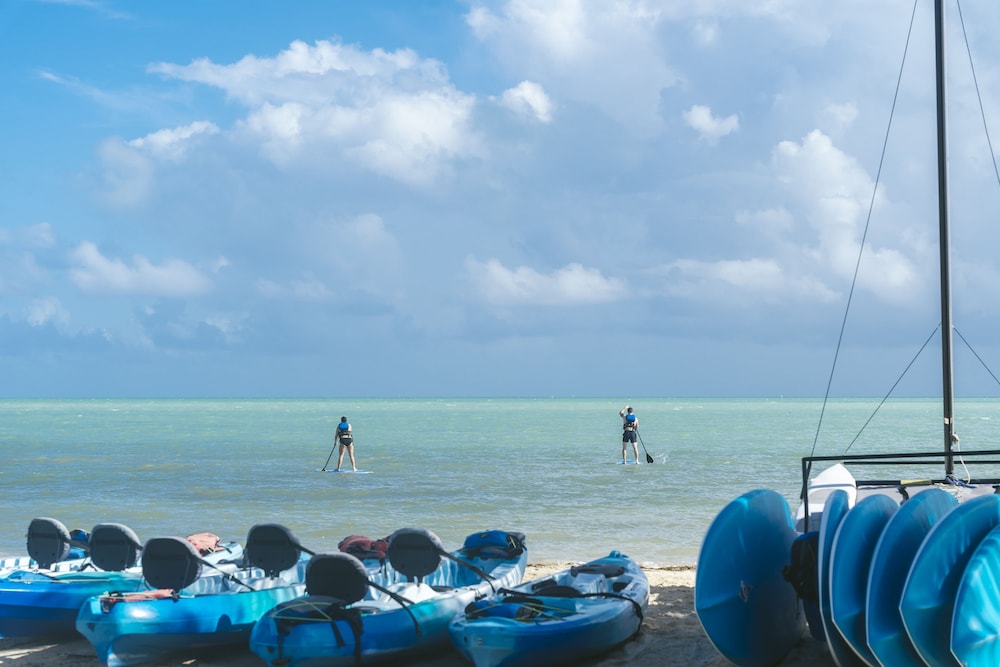 The Islands of Islamorada - photo 66