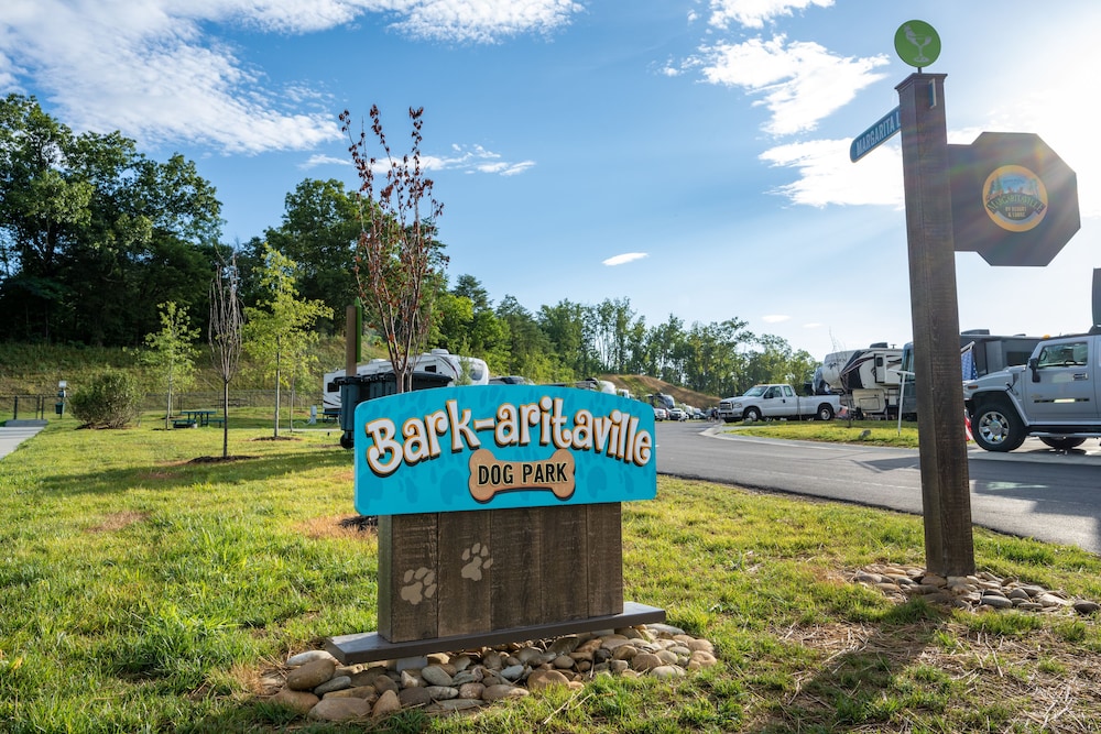 The Lodge at Camp Margaritaville - photo 26