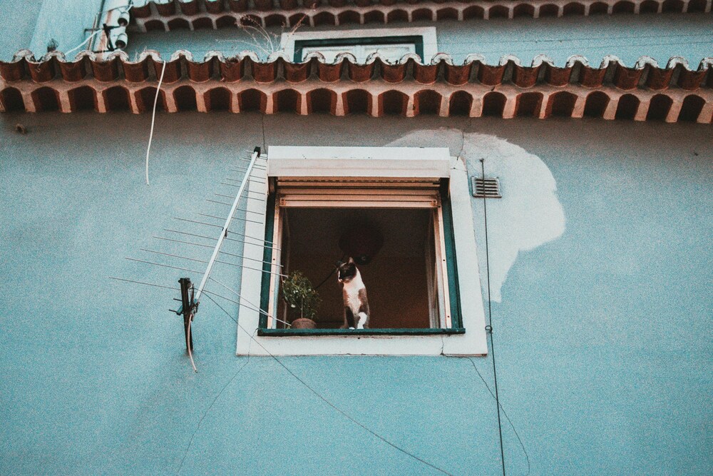 Aegis3 — Kathmandu — photo 2