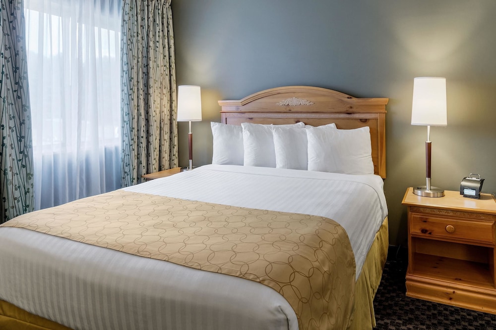 Clarion Inn Seekonk Providence - photo 10