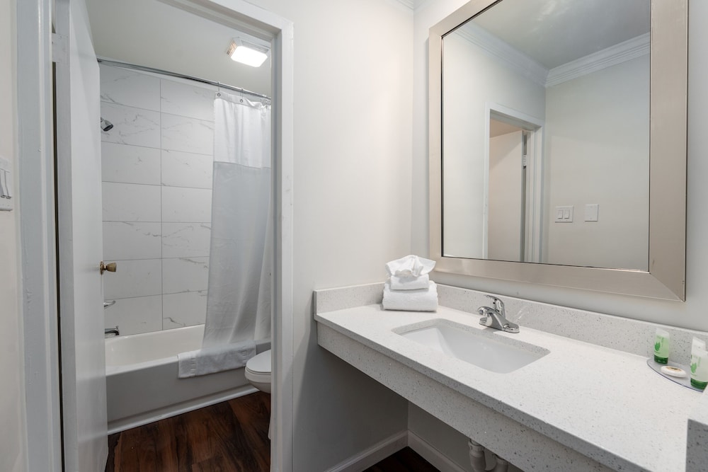 Crewe Boutique Inn - photo 16