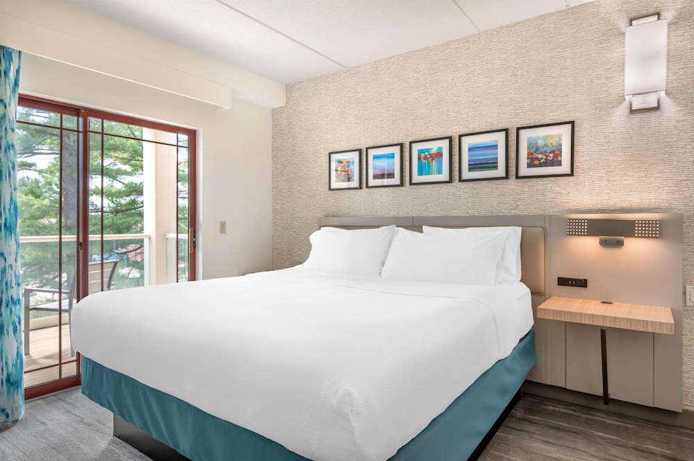 Hilton Garden Inn Wisconsin Dells - photo 71