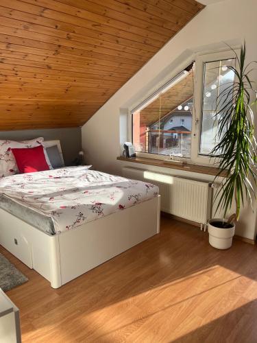 Podkrovní apartmán s balkónem in Ostrava, Czech Republic