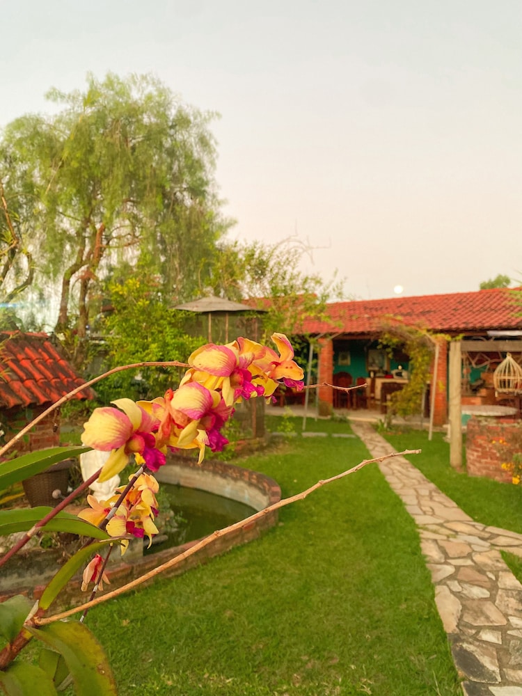 Recanto das Orquídeas Hospedagem. — Quatis — photo 4
