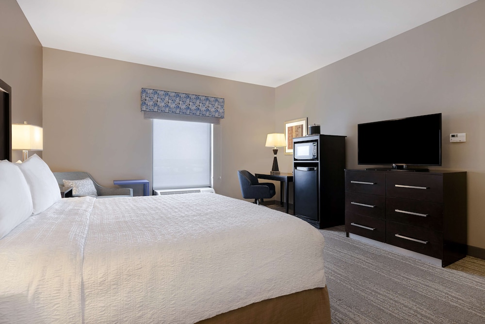 Hampton Inn & Suites Tampa Northwest Oldsmar - photo 11