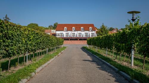 Penzion pod Kraví horou — hotel in Boretice