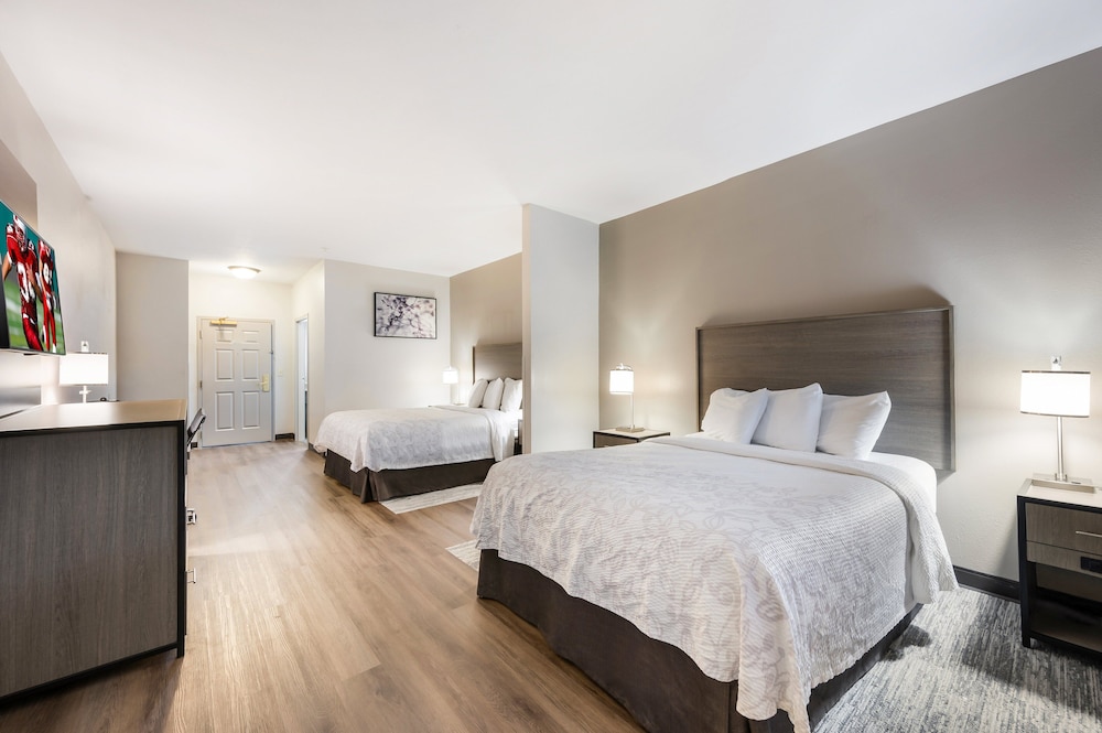 Red Roof Inn PLUS & Suites Birmingham Bessemer - photo 8