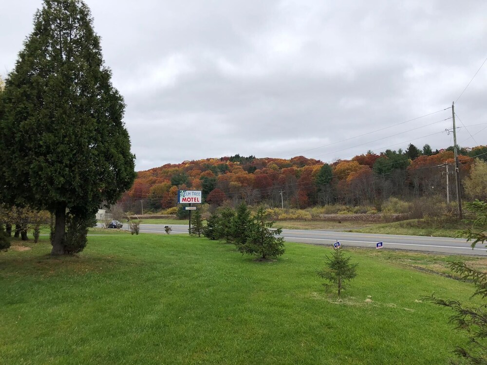 Elm Tree Motel - photo 20